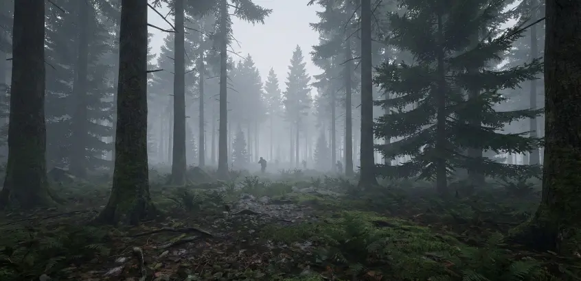 Combat environment simulation: dark coniferous forest with dense fog limiting visibility