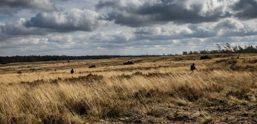 Combat environment simulation: windy plain with tall dry grass and isolated covers